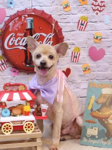 20230906ロイくん